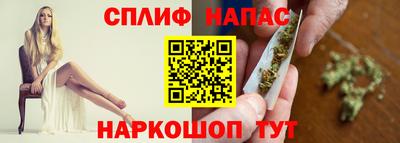 мдпв Новозыбков