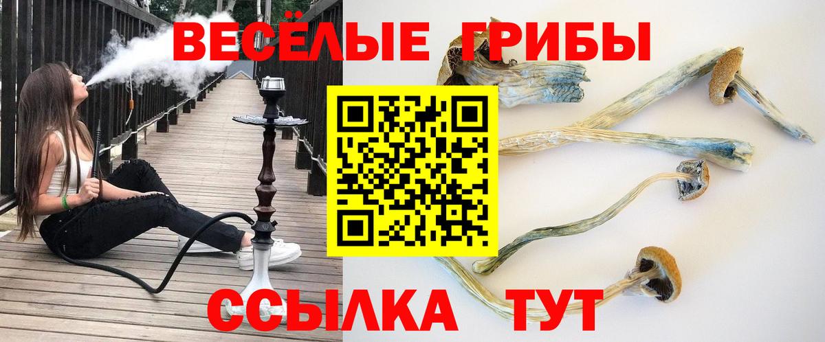 Галлюциногенные грибы GOLDEN TEACHER  Вход с VPN  Старая Купавна 